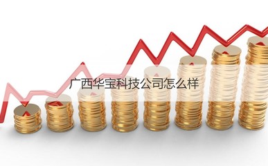 廣西華寶科技公司概況與計算機網(wǎng)絡(luò)科技領(lǐng)域發(fā)展前瞻